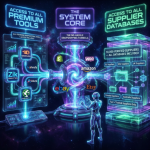 Free SEO Consultation – Boost Your Business Today